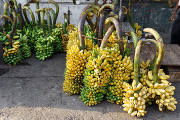 many bananas to the market
