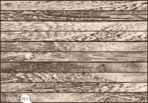 Wood Background Texture. Vector