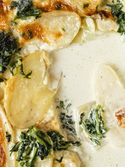 rustic golden spinach potato gratin dauphinois