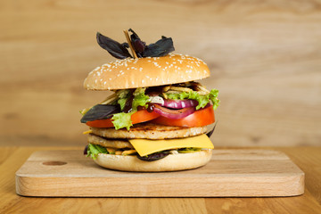 A delicious burger with two cutlets