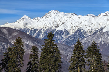 Beautiful mountain scenic winter landscape of the Main Caucasian ridge with snowy peaks, blue sky and fir trees on the foreground