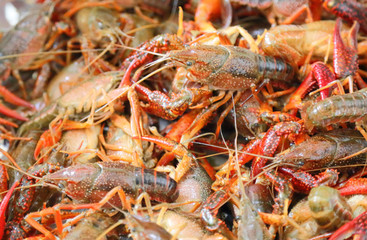 Crayfish