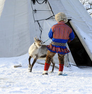 Traditional Sami reindeer-skin tents (lappish yurts) in Tromso .reindeer breeder