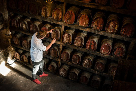 Chef inspecting wine cellar with barrels made from oak wood used