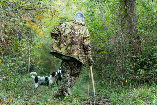 Truffle hunter and his dog walking through the woods searching f