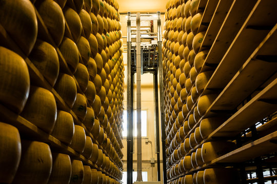 Robot turning cheese in shelves of Italian Parmesan cheese factory
