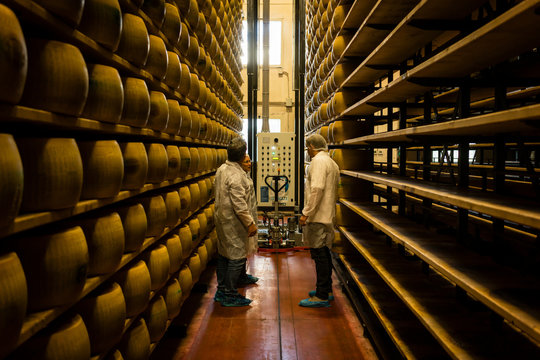 Worker and food inspector in parmesan cheese factory, Italy