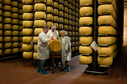 Group of men and women inspecting Parma cheese factory