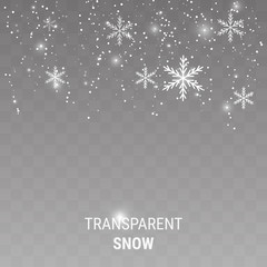 Falling snow on a transparent background