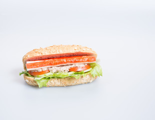 sandwich or health sandwich on the background.