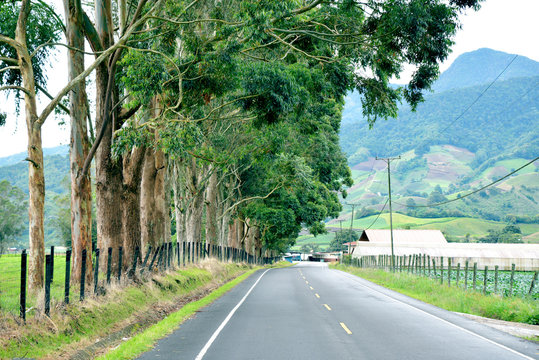 Rural Road