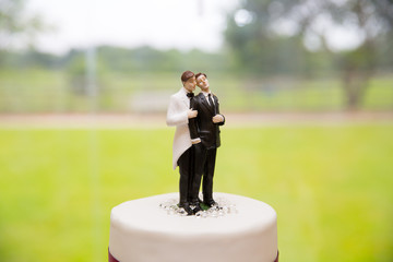 Gay Couple On A Wedding Cake 