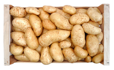 Harvested potatoes in a wooden case