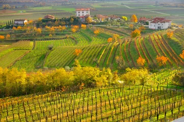 Deurstickers Collio Wine region, Friuli Venezia Giulia, Italy © Luciano Mortula-LGM