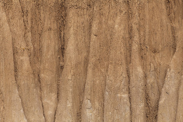 Fototapeta premium Texture of soil wall