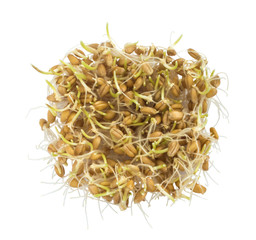 Little Handful Of Wheat Germs Isolated