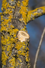 Water reflections and mountain peaks, Zell am See Lakekaprun, kitzsteinhorn, Austria, Europe, Bad Gastein
