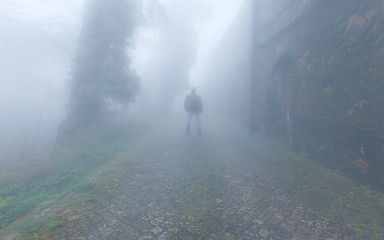 Deep in the foggy forest