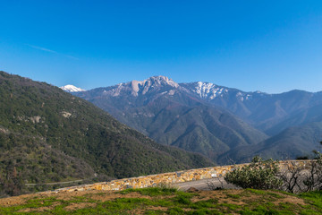 Panorama,Giant Forest, Sequoia National Park, California, USA