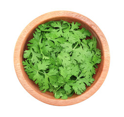 Top view of fresh coriander leaves in wooden bowl on white backg