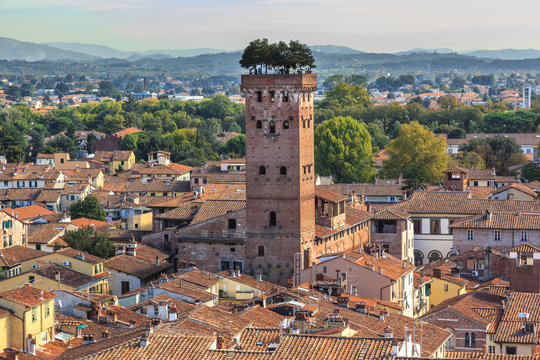 Guinigi tower in Lucca.