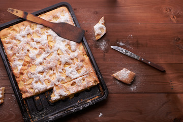 charlotte apple cake in the pan and slices of cake