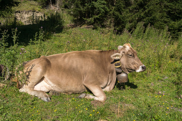 Morro Bay State Park, Morro Bay State Marine Reserve, Los Osos, California, USA
