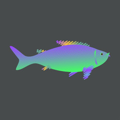 Fish on a dark background. Vector illustration.