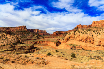 Fototapeta premium Arizona desert landscape