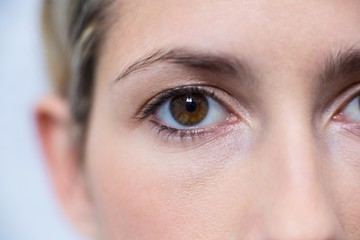 Close-up of woman eye