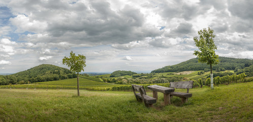 Rastplatz in Weinbergen