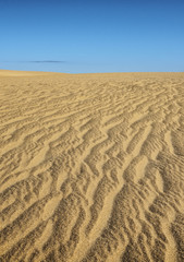 Uruguay, Rocha Department, Cabo Polonio, View of the dunes.