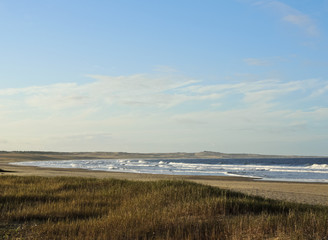 Fototapeta na wymiar Uruguay, Rocha Department, View of the beach in Cabo Polonio.