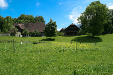 Obraz premium Home in Switzerland