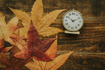 Old alarm clock between yellow leaves