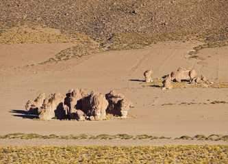 Fototapeta na wymiar Bolivia, Potosi Departmant, Nor Lipez Province, Landscape of the Valle de las Rocas(Rocks Valley).
