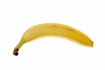 banana fruit on a white background