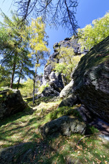 A mixture of the rocky terrain and green trees