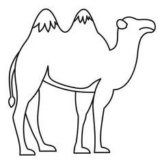 Camel icon. Outline illustration of camel vector icon for web