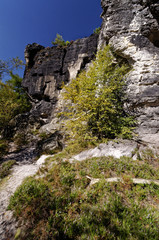 Obraz premium Part of a huge cliff with greenery around it