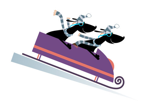 Dog bobsledding. Two cartoon dachshunds ride on sledge 

