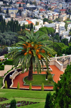 Bahai Gärten in der Stadt Haifa