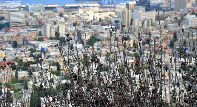 Stadtbild von Haifa
