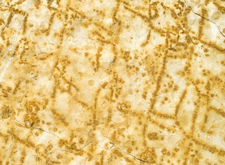 Cracked yellow sandstone closeup