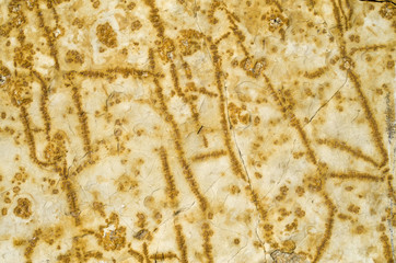 Cracked yellow sandstone closeup