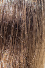 Naklejka premium human hair