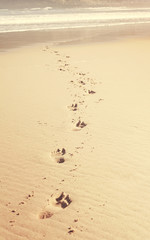 Footprints in beach wave