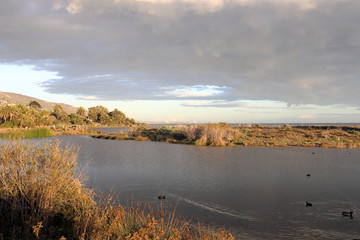 Peaceful Lagoon