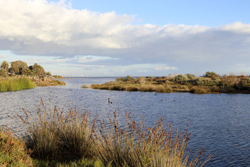 Peaceful Lagoon