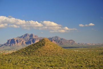 Fototapeta na wymiar Desert Vistas